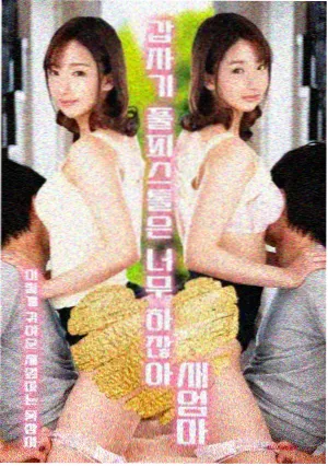 南方来客